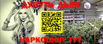 твердый Лесосибирск