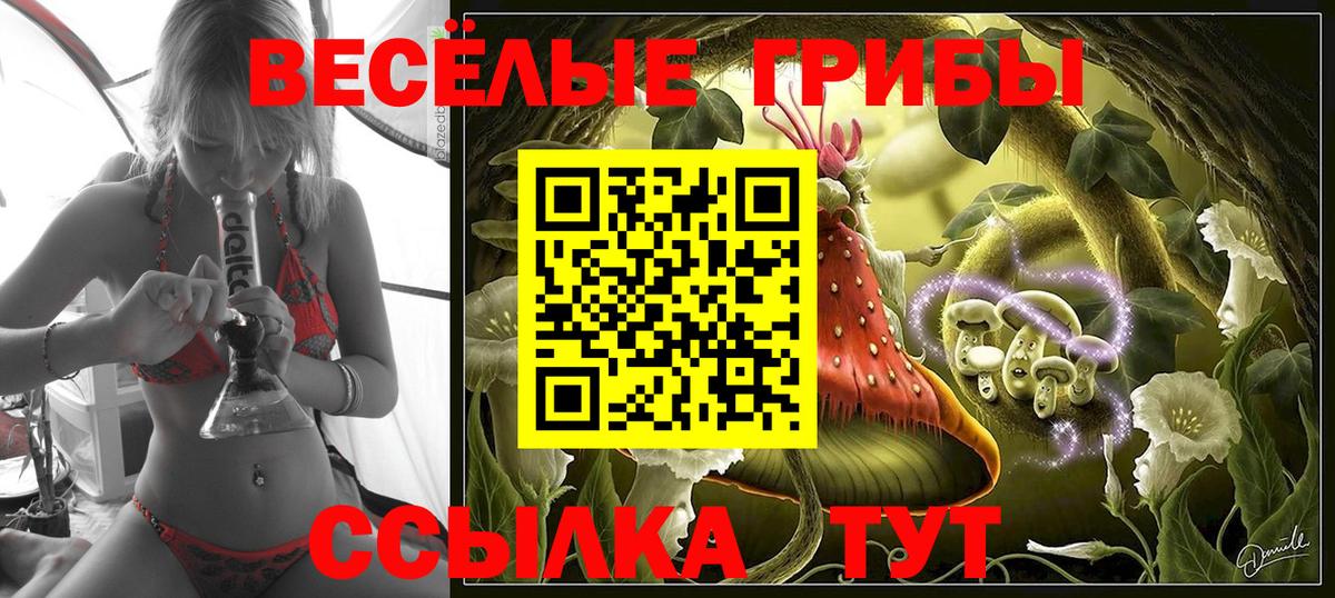 Галлюциногенные грибы мицелий Ивантеевка