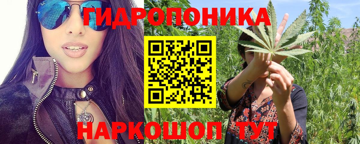 Конопля ГИДРОПОН  Бошки марихуана тримм  Каннабис Ganja  Вход с VPN  Ивантеевка  Конопля планчик 
